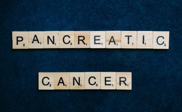 췌장암 관련 사진