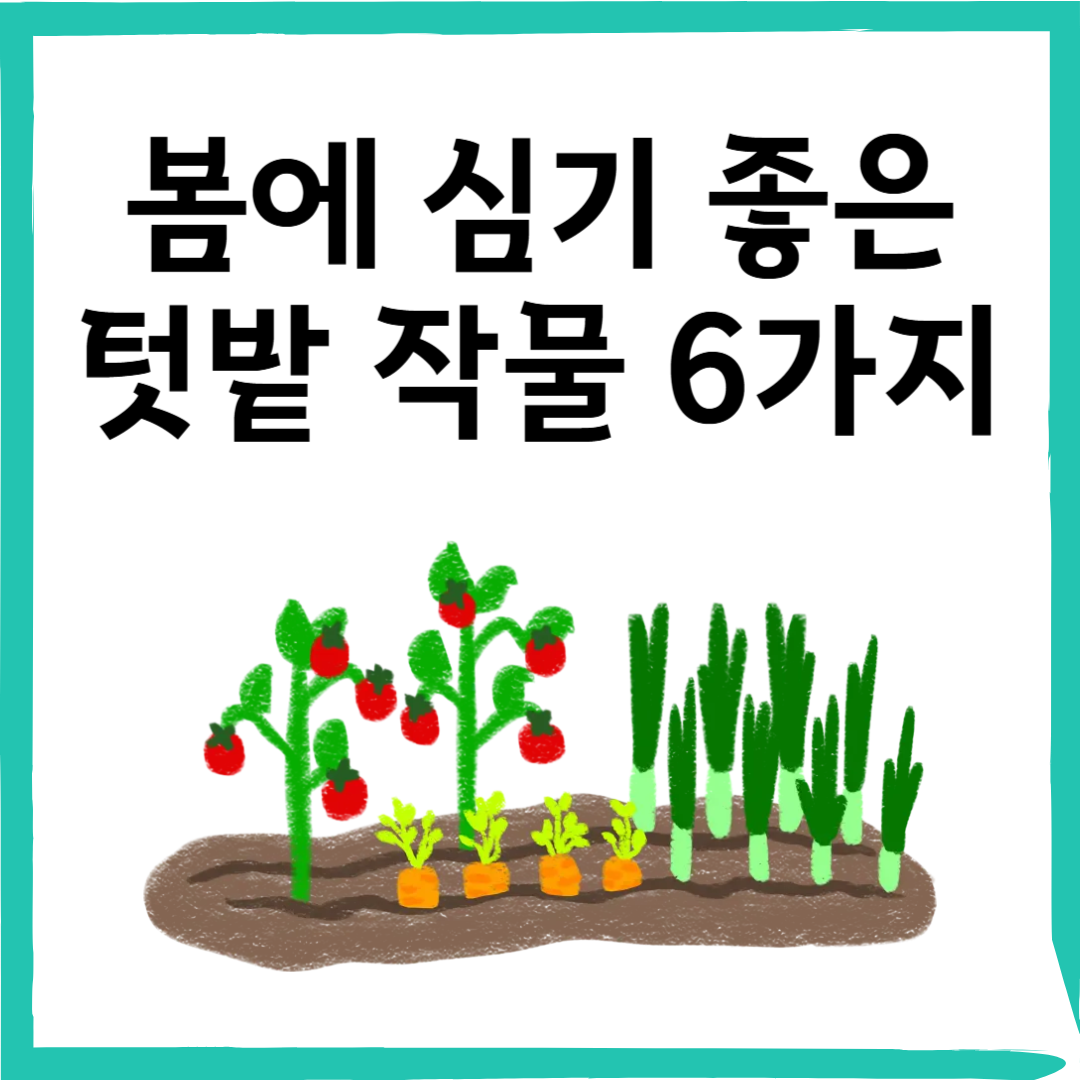 봄에 심기 좋은 텃밭 작물과 키우는 법 초보자도 가능한 쉬운 텃밭 가꾸기