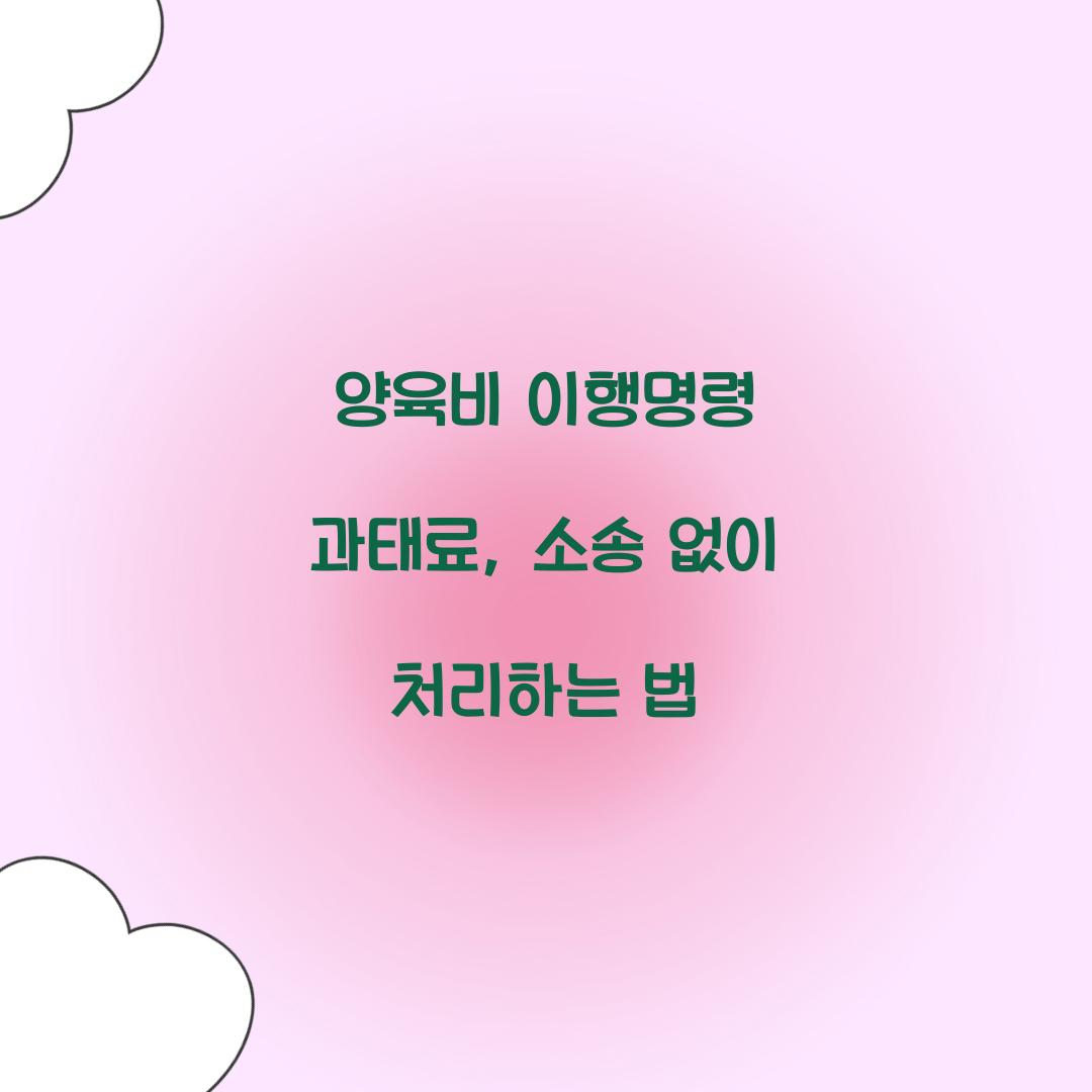 양육비 이행명령 과태료