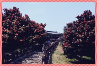 서천주꾸미축제