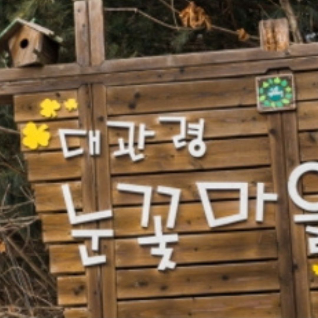 겨울에/꼭/가봐야/하는/여행지/강원도/평창