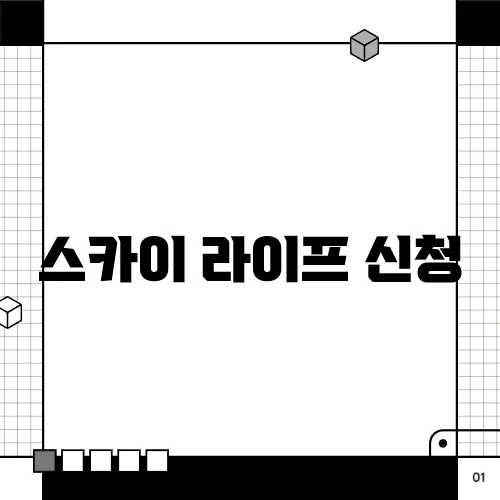 스카이 라이프 신청