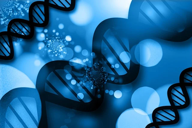 단 한 개의 유전자 돌연변이로 발생하는 &lsquo;루비노우-멜닉 증후군&rsquo;의 모든 것