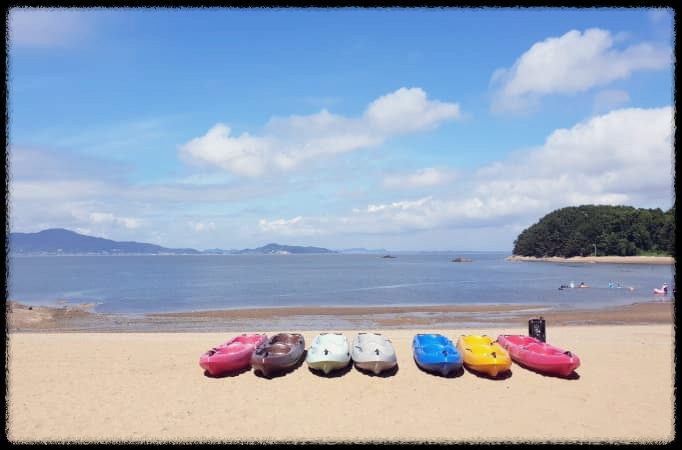 신시모도