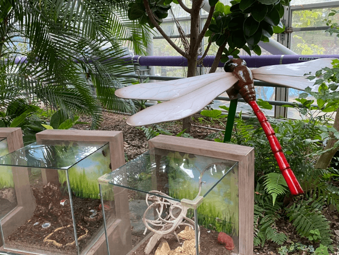 아산생태곤충원