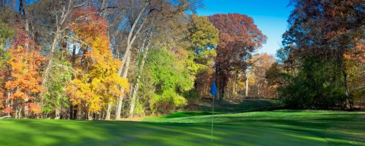 파크골프의 역사와 도입 그리고 미래