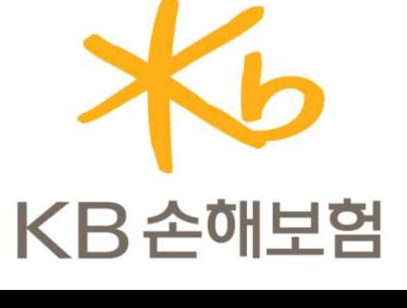 KB손해보험-로고-사진입니다.
