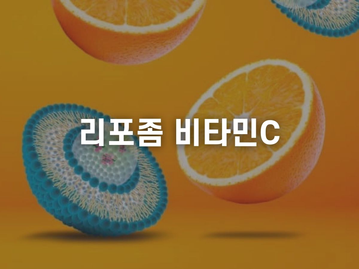 리포좀 비타민C 효능