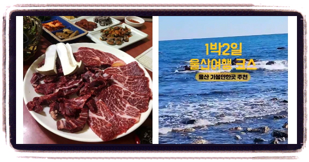 생생정보 스타의고장 윤수일 울산 언양불고기 후기