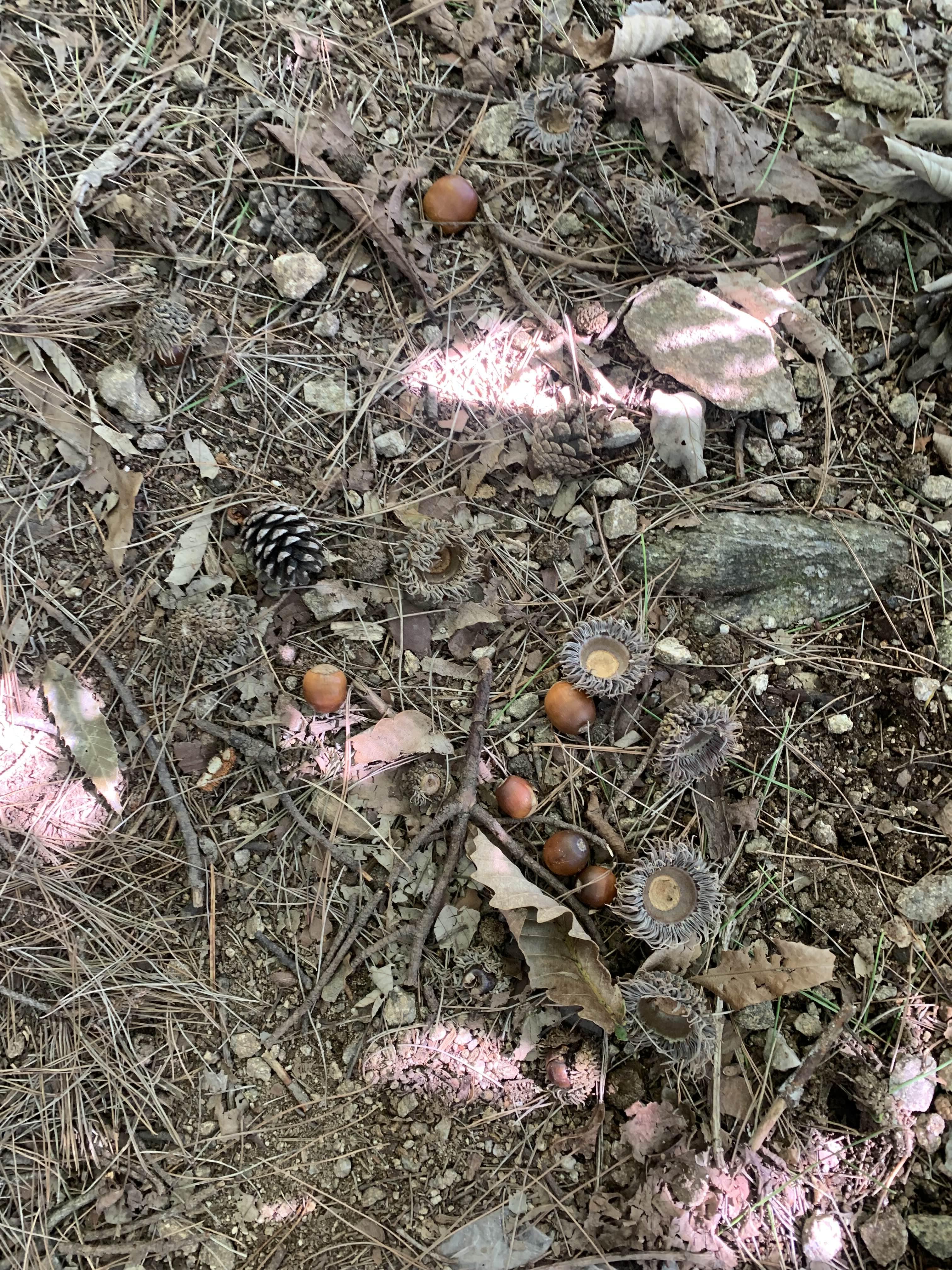 용문산 주차장