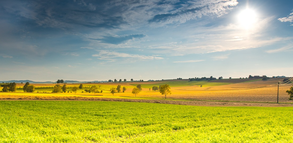 청명-24절기-날씨-봄