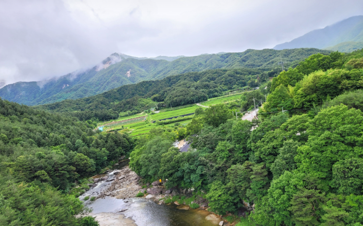 거창 수승대 출렁다리