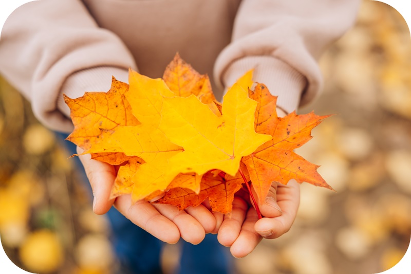 양손-노랑색-단풍잎-가득