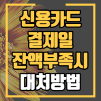 신용카드 결제일 잔액부족시 대처방법을 안내합니다.