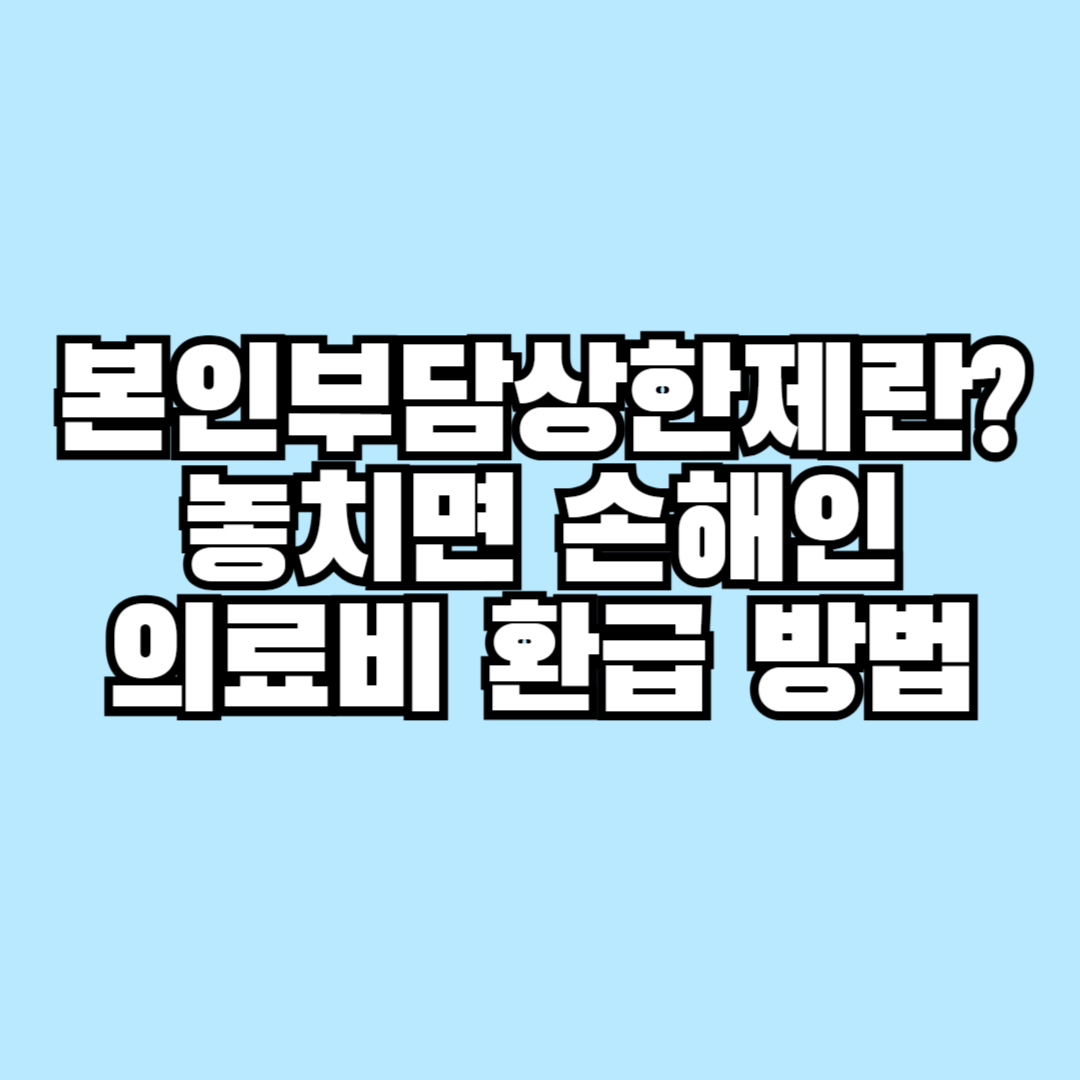 본인부담상한제란 놓치면 손해인 의료비 환급 방법