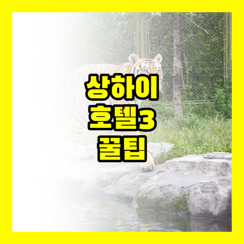 상하이 여행, 놓치면 후회할 호텔 3..