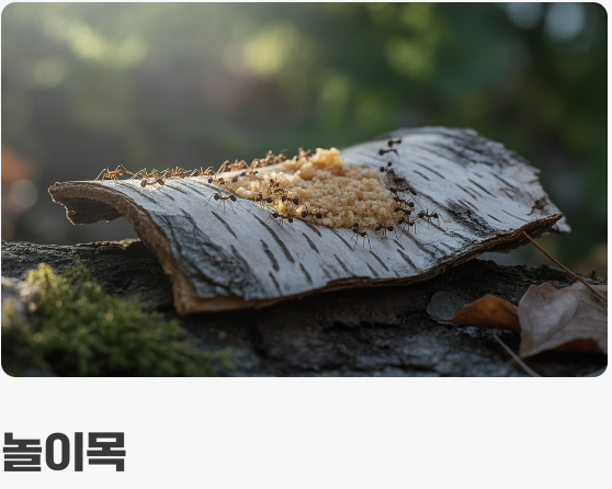 왕의 만찬, '먹이'는 어떻게 줄까?