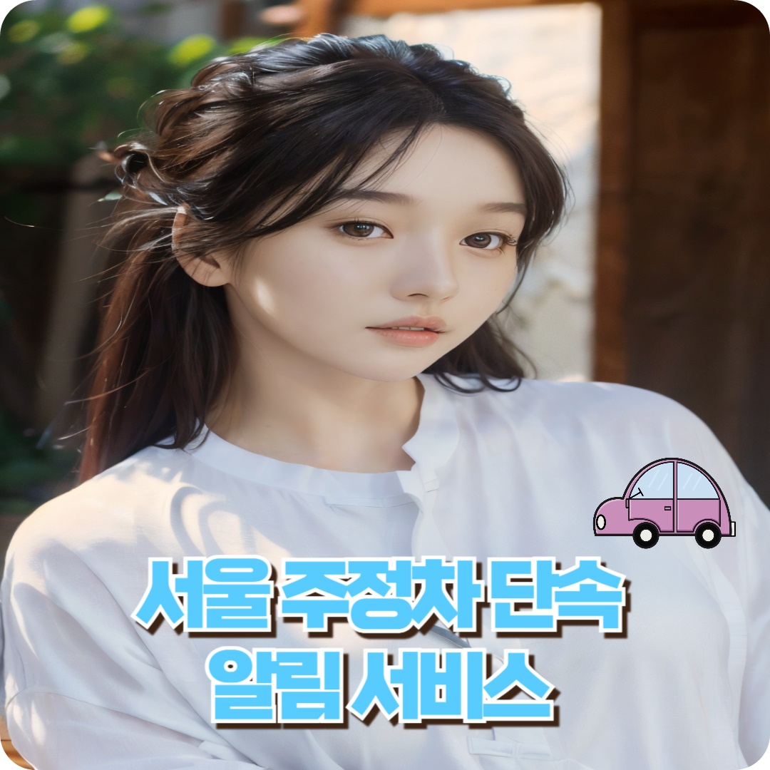 서울주정차단속알림서비스