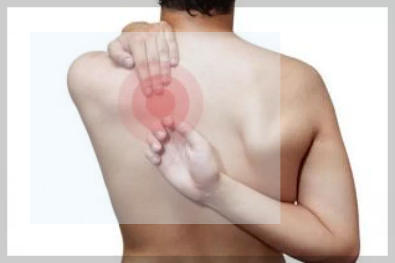 왼쪽 날개죽지 통증