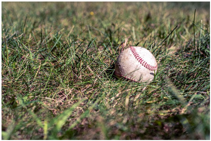 KBO 구단별 특징, 팬층, 응원 문화 소개 &ndash; 한국 야구의 매력과 열기