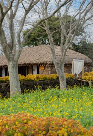 제주도의 매혹 독특한 문화와 역사 속으로 여행