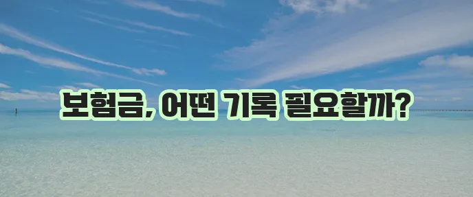 보험사 발급 의무기록지 서류 종류