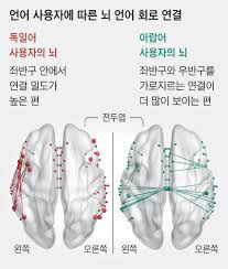 논리의언어를 쓰는 사람의 뇌구조