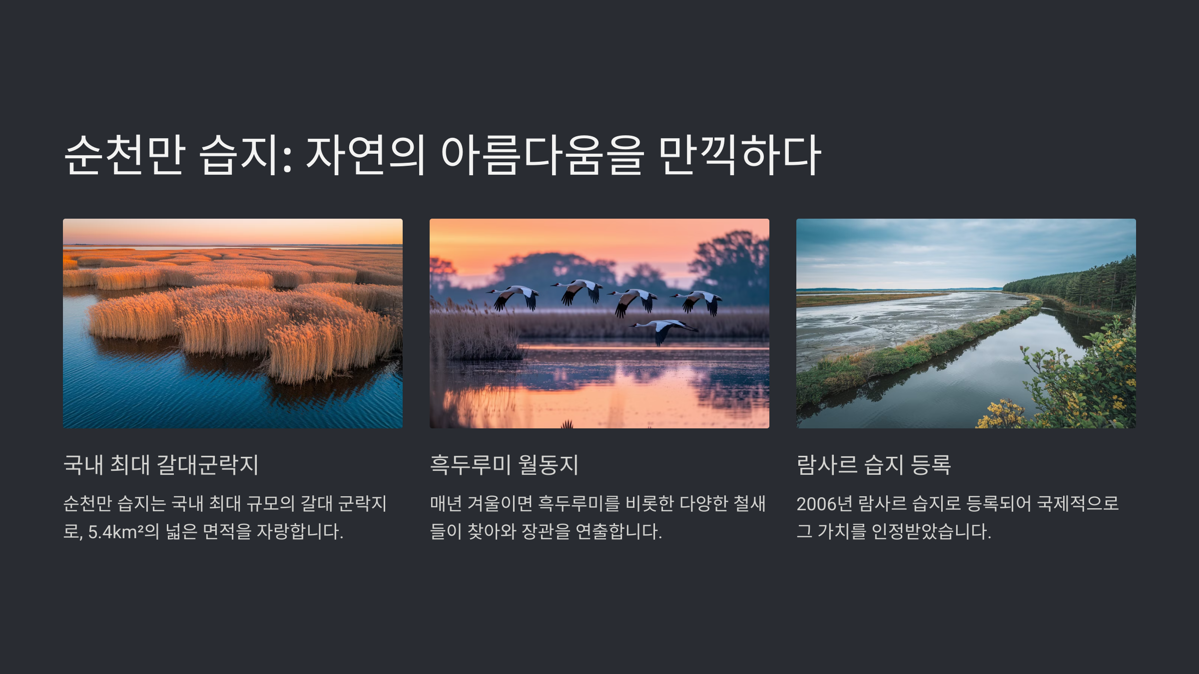 순천 가볼만한곳 베스트10