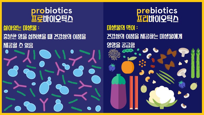 프로바이오틱스와 프리바이오틱스