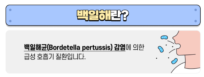 성인 백일해 설명이미지