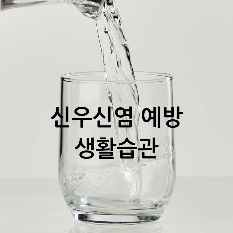 신우신염증상과 신장에 좋은 음식