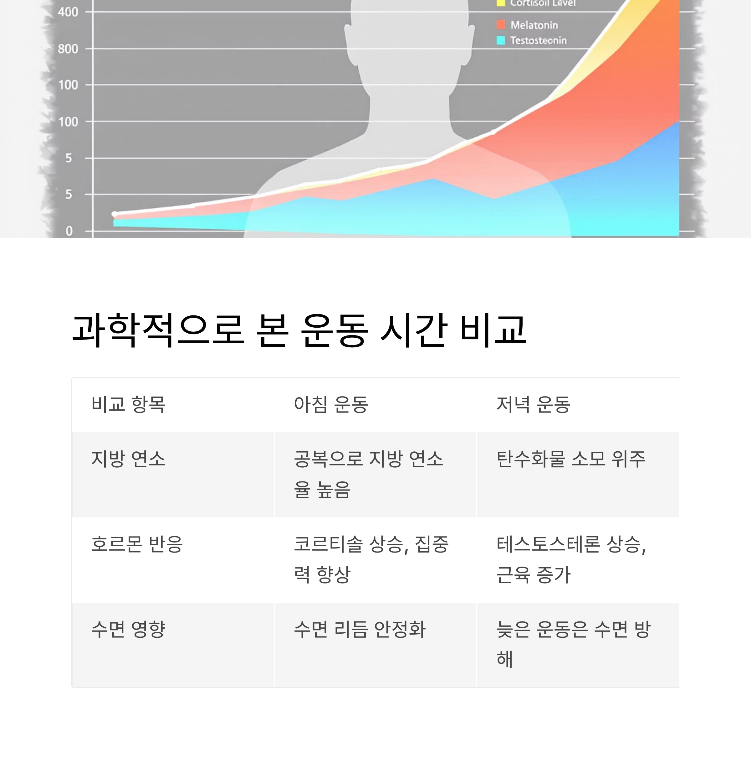 과학적으로 본 아침 vs 저녁 운동