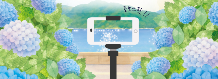 거제 수국 축제, 여름을 걷다 일정 총정리