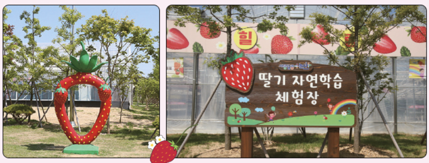 딸기향농촌테마공원
