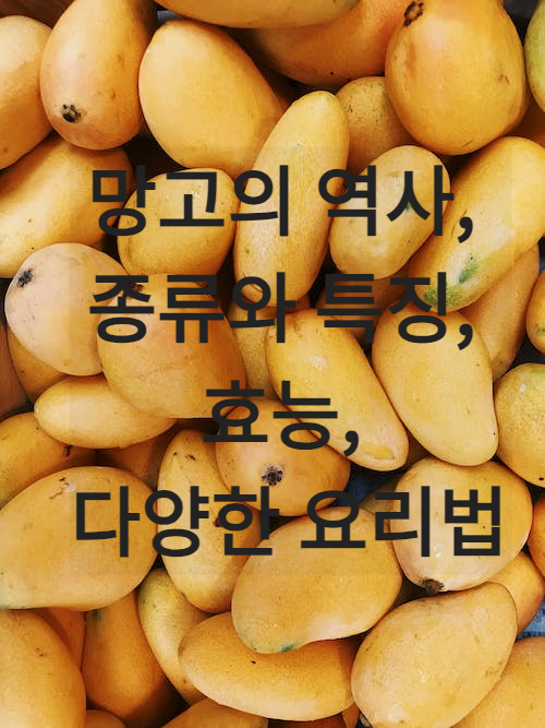 망고의 역사&#44; 종류와 특징&#44; 효능&#44; 다양한 요리법 알아보기