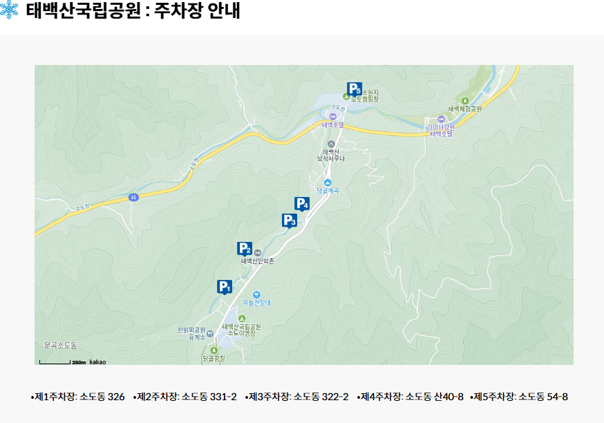 태백-눈꽃축제-주차장-정보