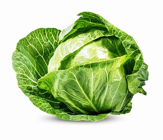 양배추 효능
