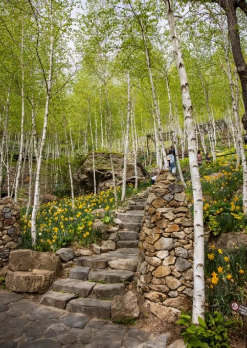 화담숲 예약하기