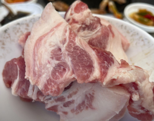 생생정보 믿고 떠나는 스타의 고장 김요한 정선 연탄구이 뒷고기 갈매기살 갈비 삼겹살 맛집