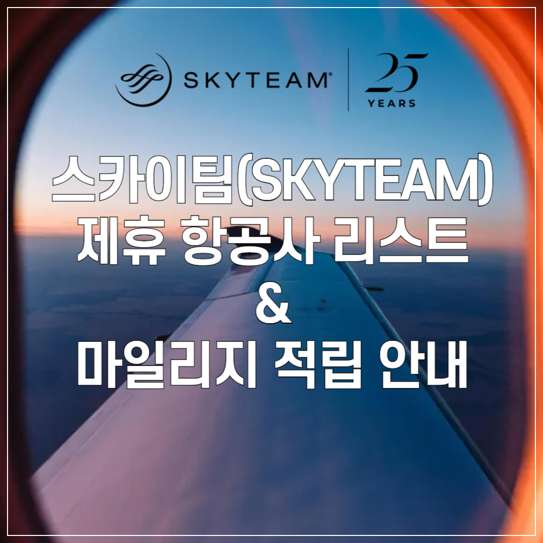 스카이팀(SkyTeam) 항공 동맹 ❘ 제휴 항공사 리스트 및 마일리지 적립 방법 썸네일