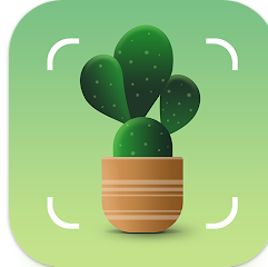 꽃 이름 찾기 어플, 앱에서 식물과 꽃 이름 무료 찾기