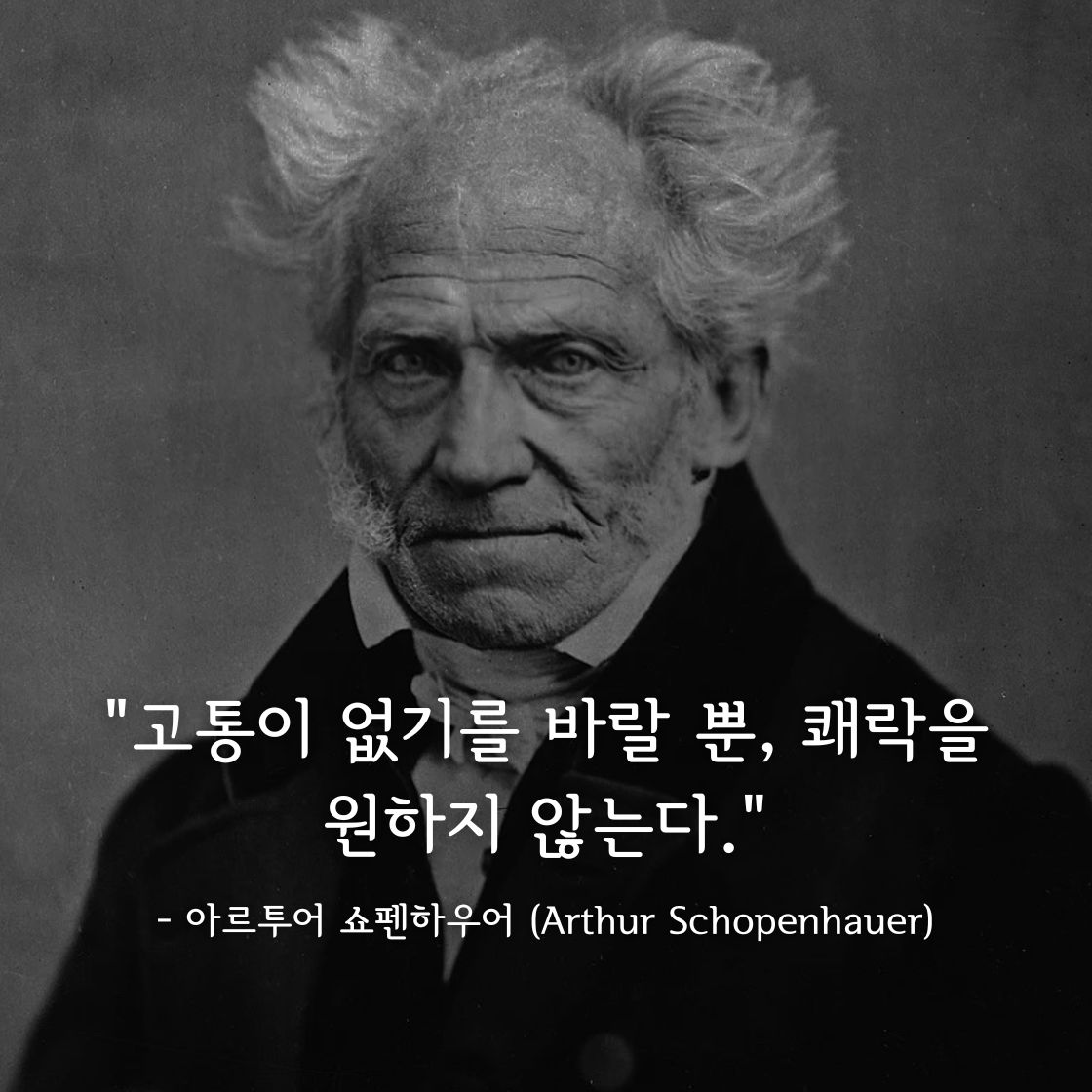 쇼펜하우어 명언