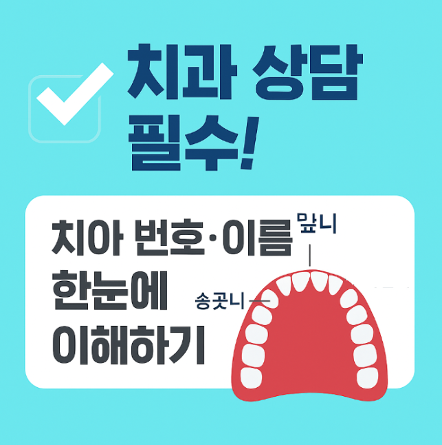 치아 이름 썸네일 문구