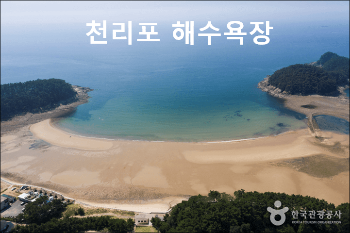 천리포 해수욕장
