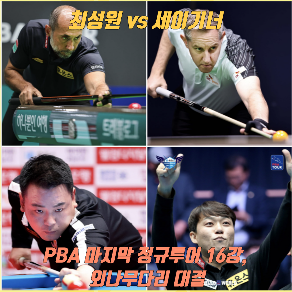 최성원 vs 세이기너