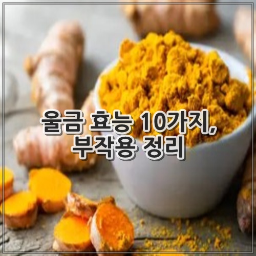 울금 효능 10가지, 부작용 정리