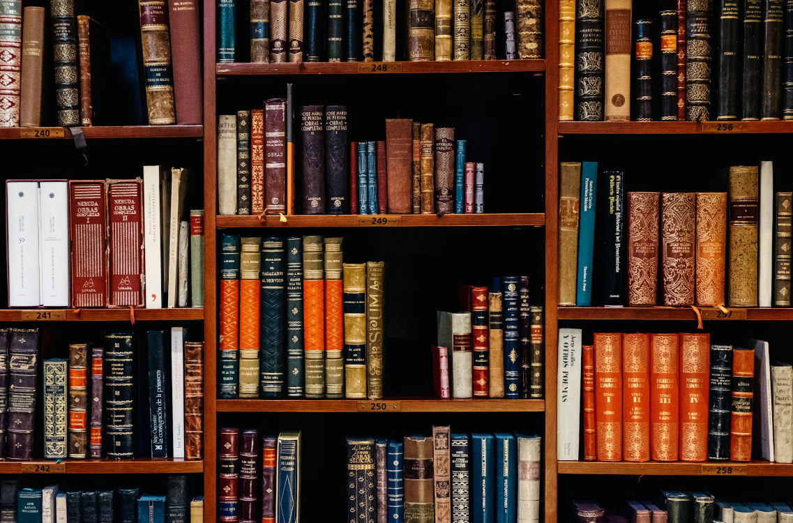 독일 통일 전후 문학 – 동독과 서독의 서사 차이