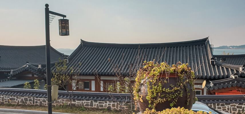 생생정보 믿고 떠나는 스타고장 가수 홍경민의 전라남도 함평 여행 한우 함평육회비빔밥 맛집 화랑식당 함평나비대축제 주포지구 한옥전원마을 함평 바나나 생태나라