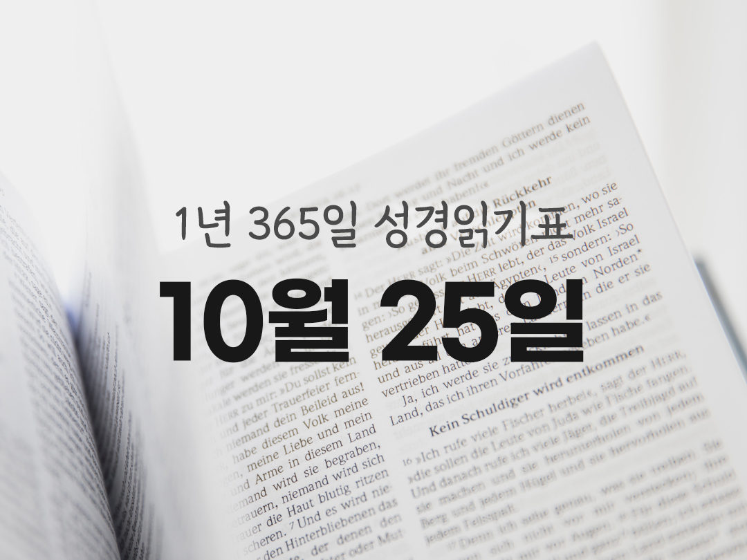 1년 365일 성경읽기표 10월 25일 루카복음 성경읽기 진도표 다운로드