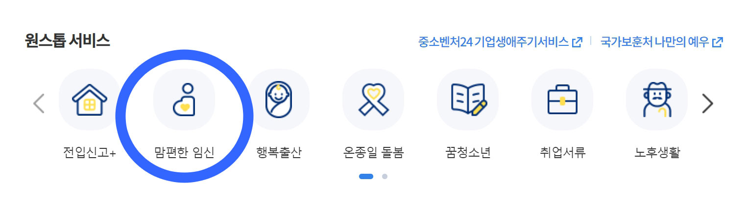 서울시 임산부 교통비 지원